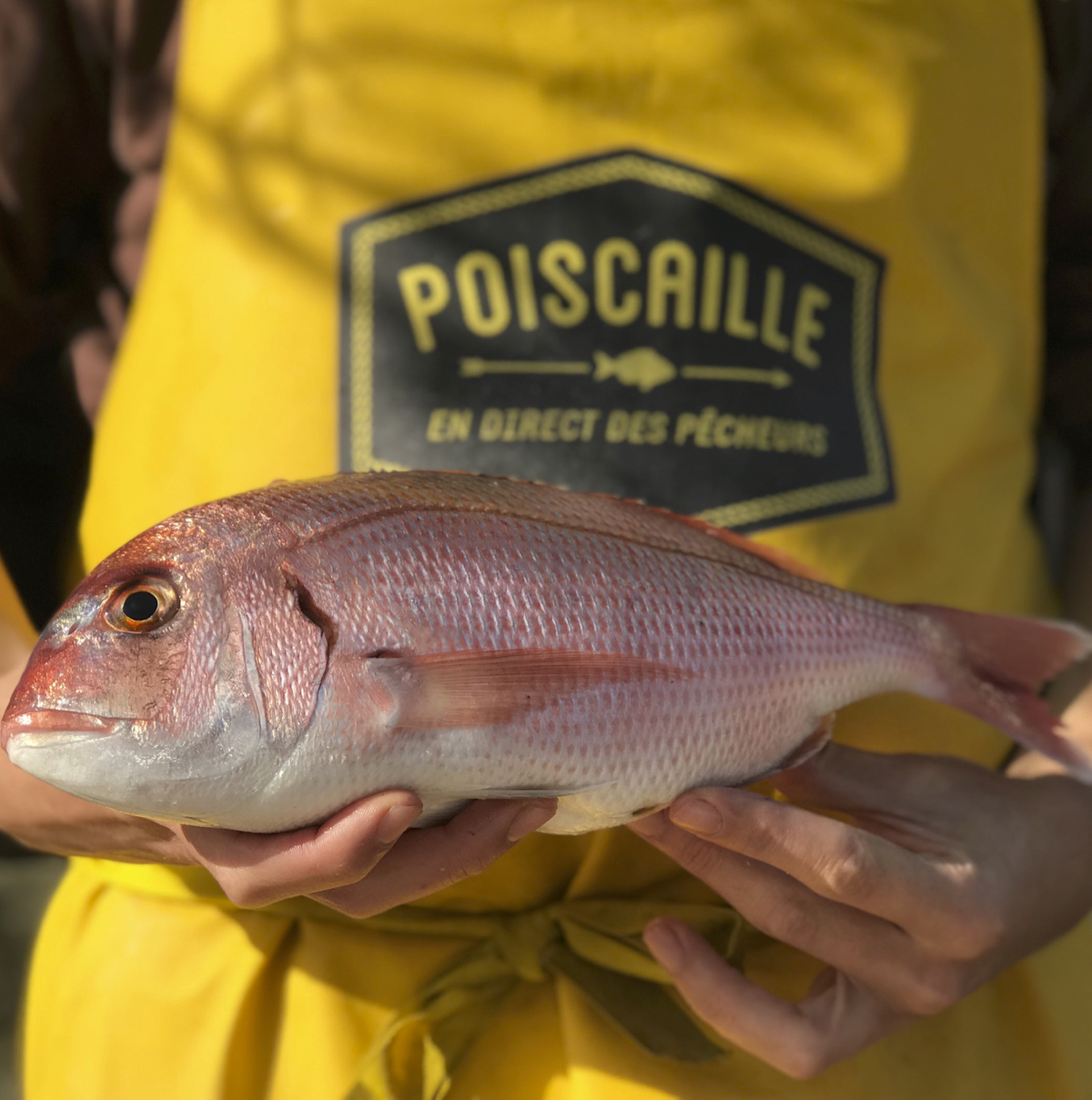 Votre magasin devient un point de collecte Poiscaille !