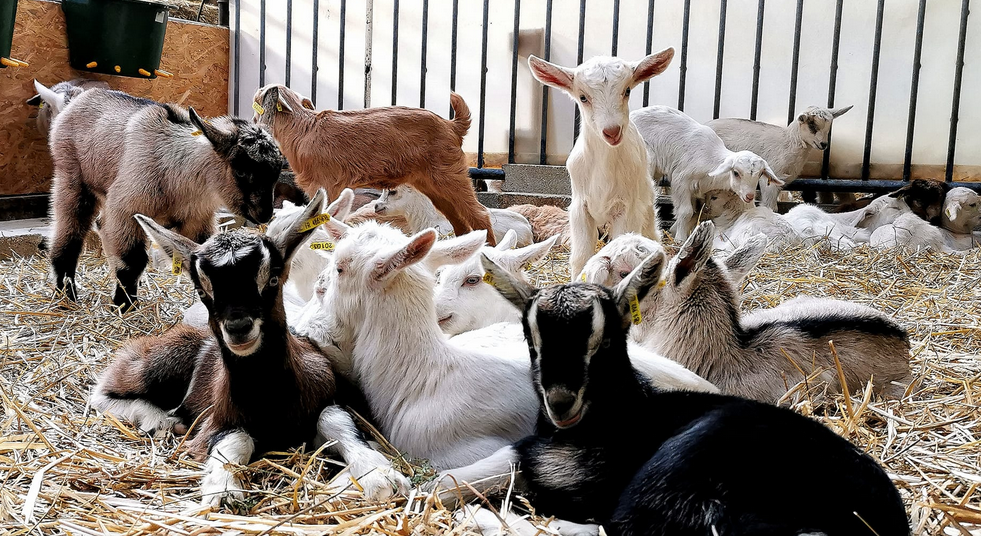 La Ferme de Chasse Nuage