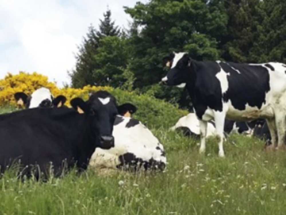 Biocoop Confluence producteur fromagerie Gardon