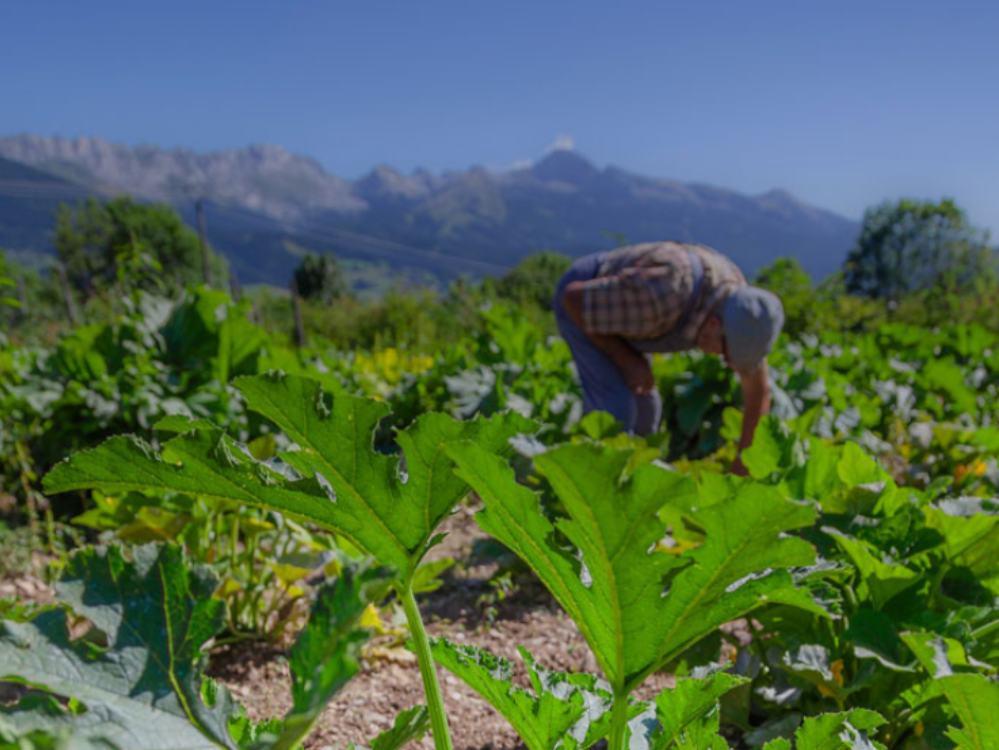 Producteur Biocoop Confluence Les Saveurs du Vercors