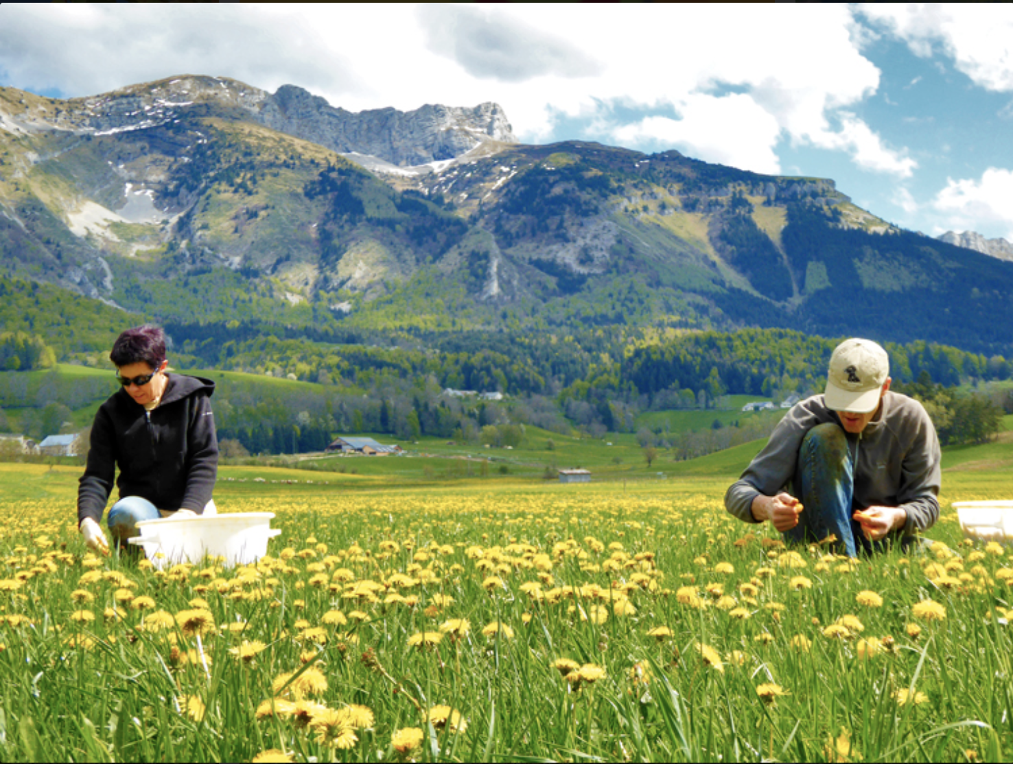 Les Saveurs du Vercors