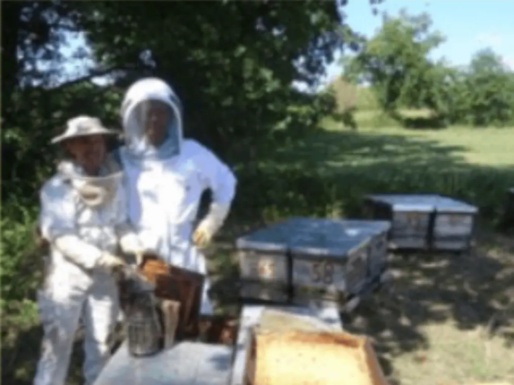 Biocoop Confluence producteur GAEC Noir d&#39;Abeilles