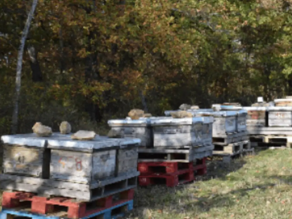 Biocoop Confluence producteur GAEC Noir d&#39;Abeilles